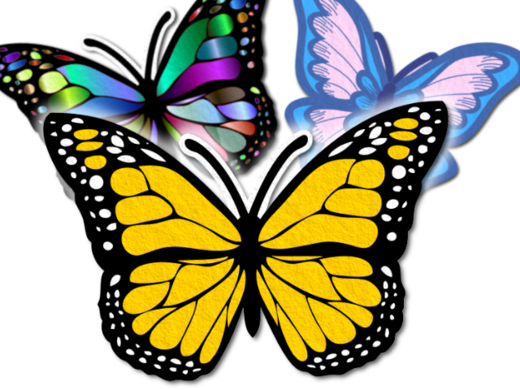 Filcový tištěný motýl